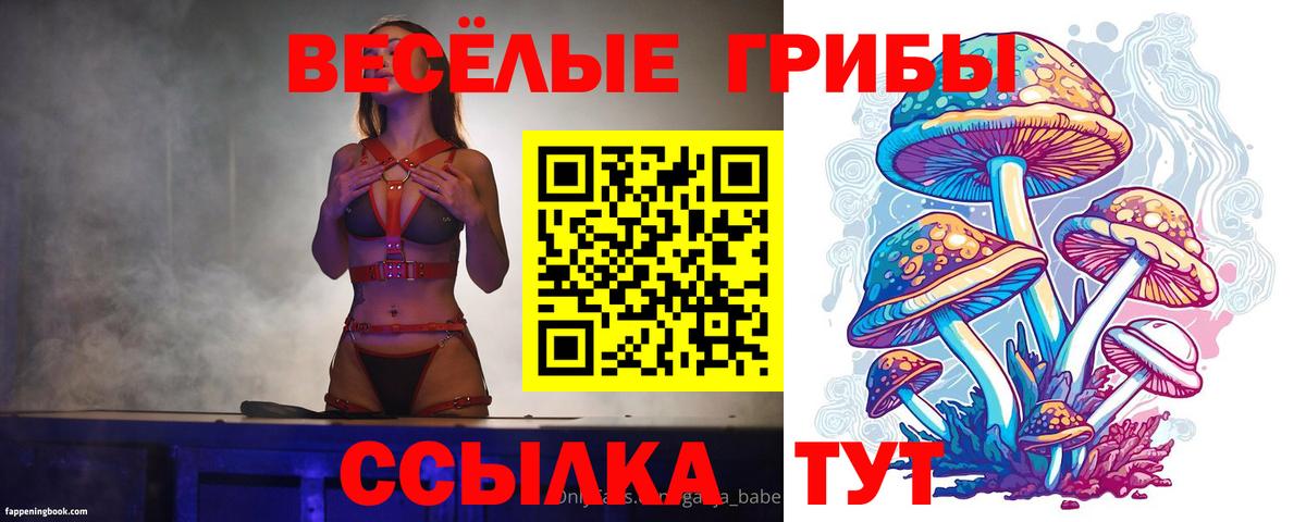 Галлюциногенные грибы прущие грибы Сургут